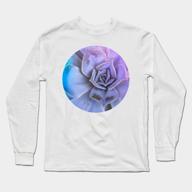 Echeveria succulent plant Long Sleeve T-Shirt by AnnArtshock